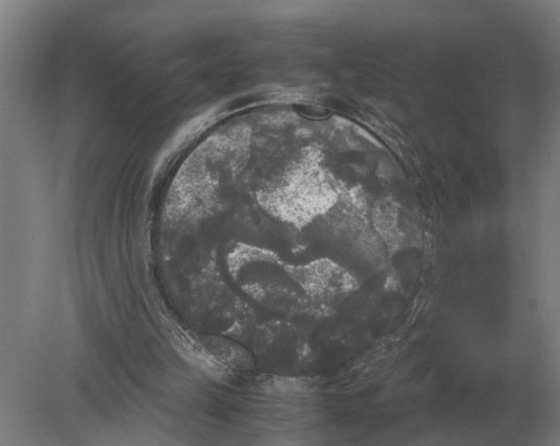 X0000078840149200612041848