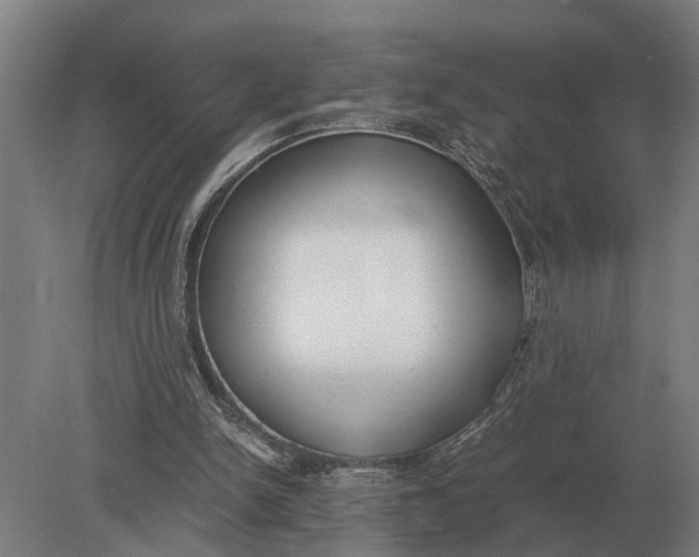 X0000078840150200612041848