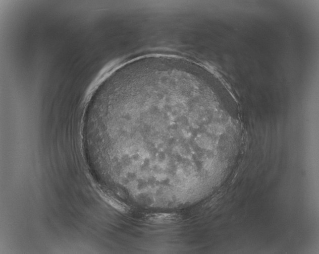 X0000078840151200612041848