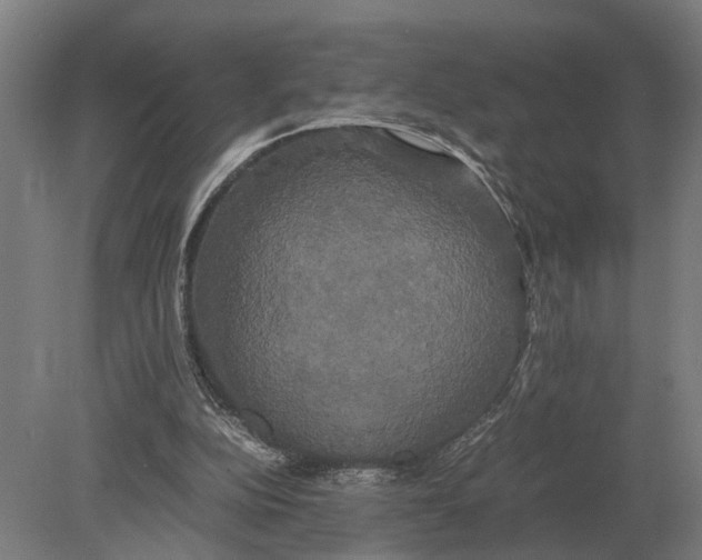 X0000078840152200612041848