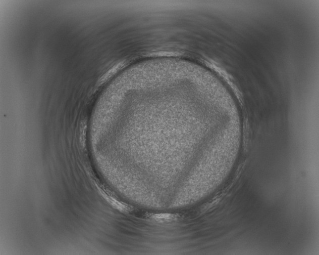 X0000078840153200612041848