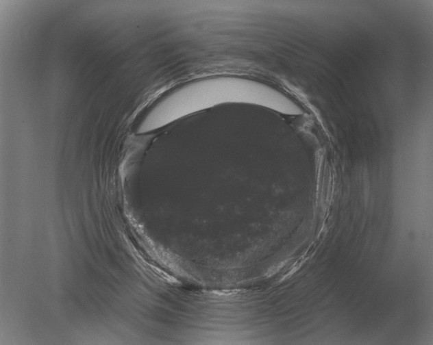 X0000078840154200612041848