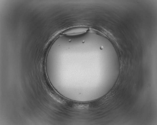 X0000078840155200612041848