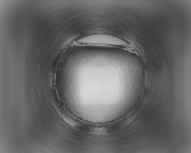 X0000078840157200612041848