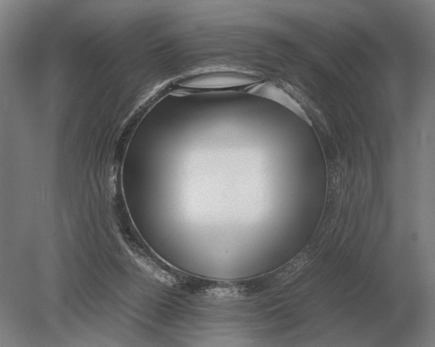 X0000078840160200612041848