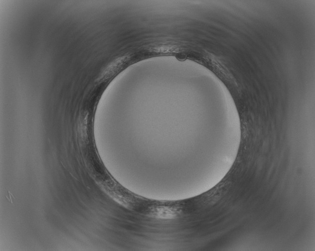 X0000078840163200612041848