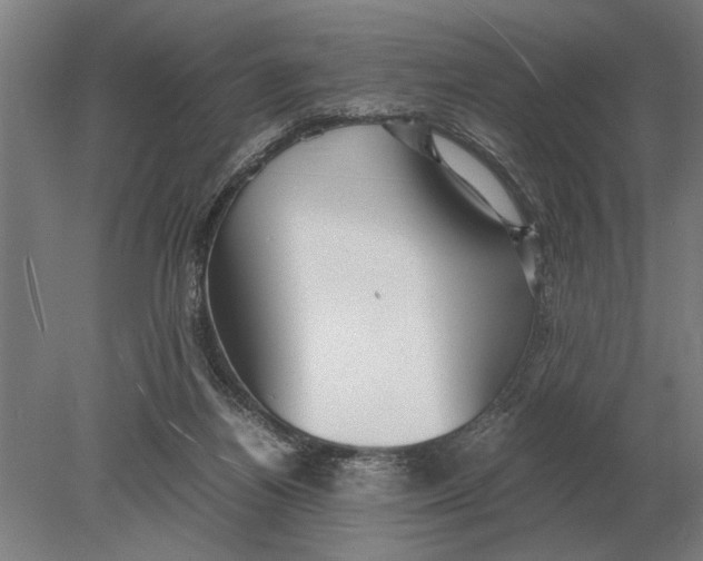 X0000078840164200612041848