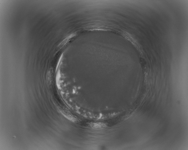 X0000078840165200612041848