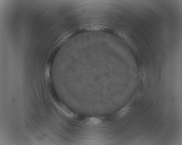 X0000078840166200612041848