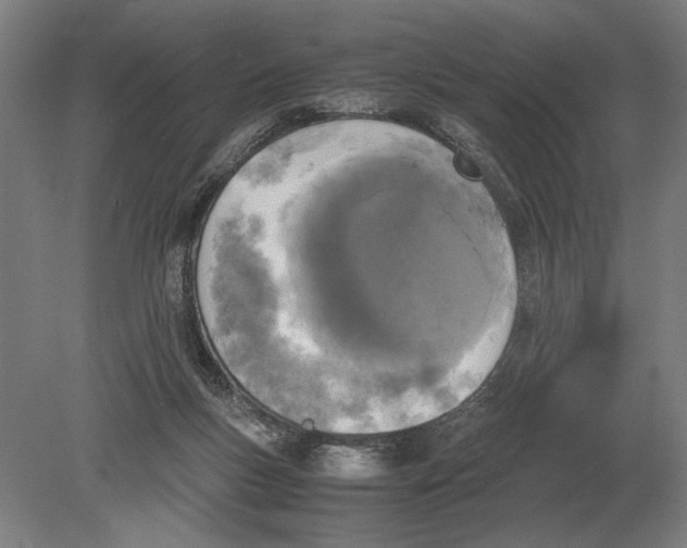 X0000078840167200612041848