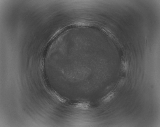 X0000078840168200612041849