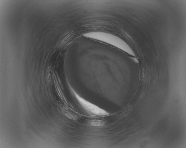 X0000078840169200612041849