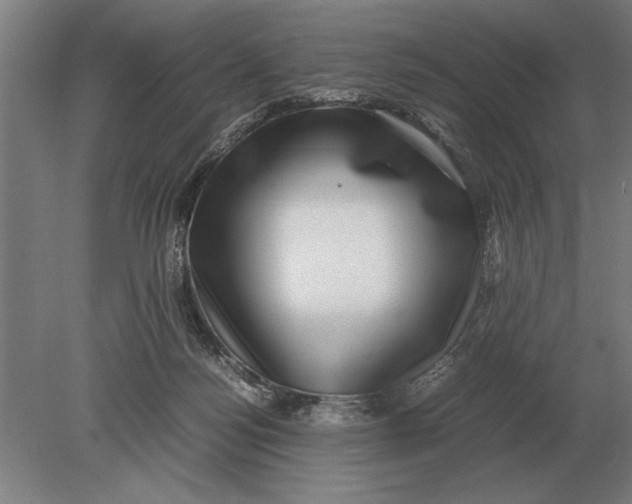 X0000078840172200612041849