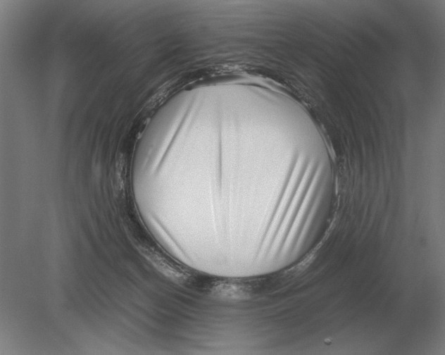 X0000078840174200612041849