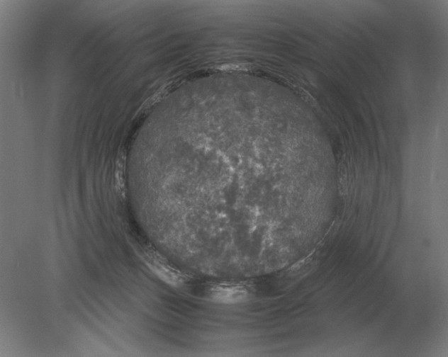 X0000078840175200612041849