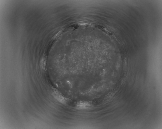 X0000078840177200612041849