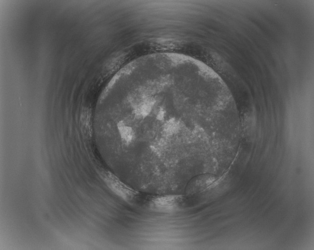 X0000078840178200612041849