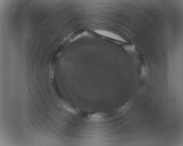 X0000078840180200612041849