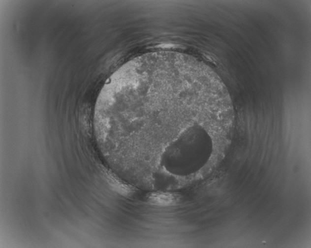 X0000078840181200612041849