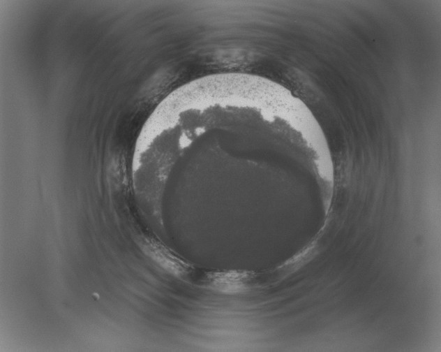 X0000078840182200612041849