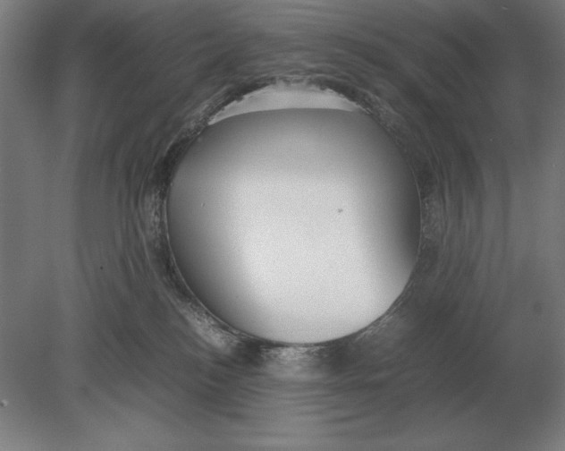 X0000078840184200612041849