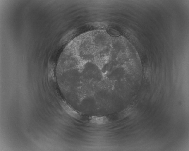 X0000078840185200612041849