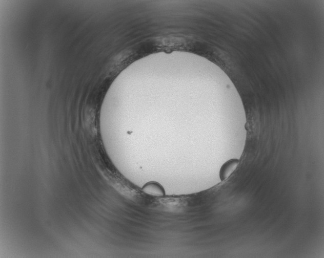 X0000078840187200612041849