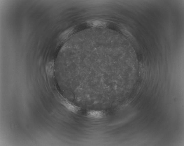 X0000078840189200612041849