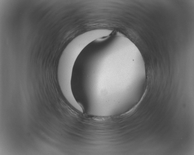 X0000078840190200612041849