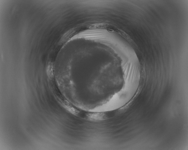 X0000078840191200612041849