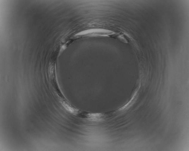 X0000078840192200612041849