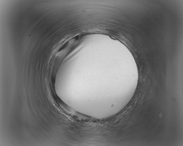 X0000078840193200612041848