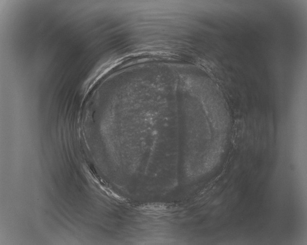 X0000078840194200612041848