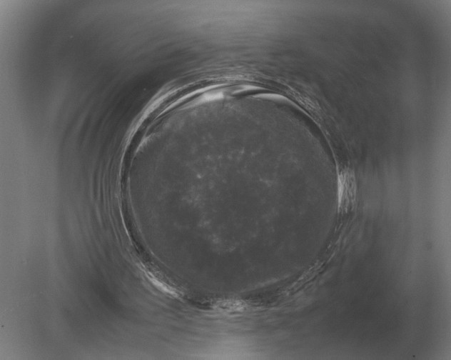 X0000078840195200612041848