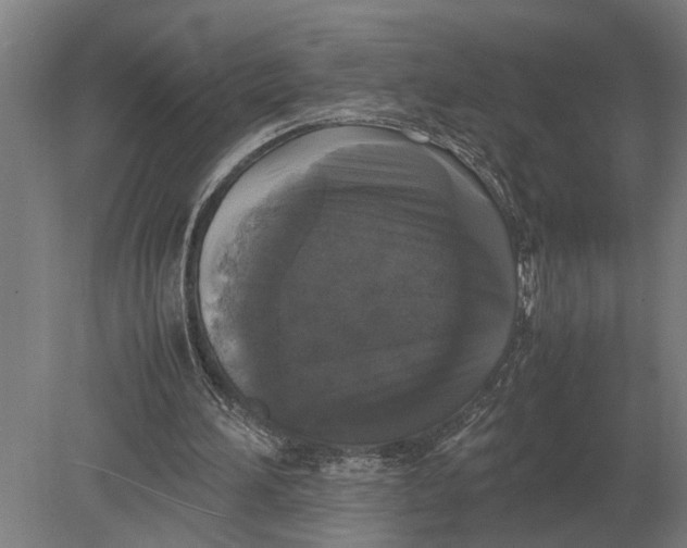 X0000078840196200612041848