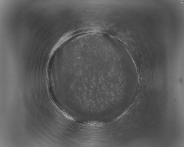 X0000078840198200612041848