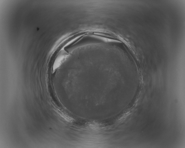 X0000078840199200612041848