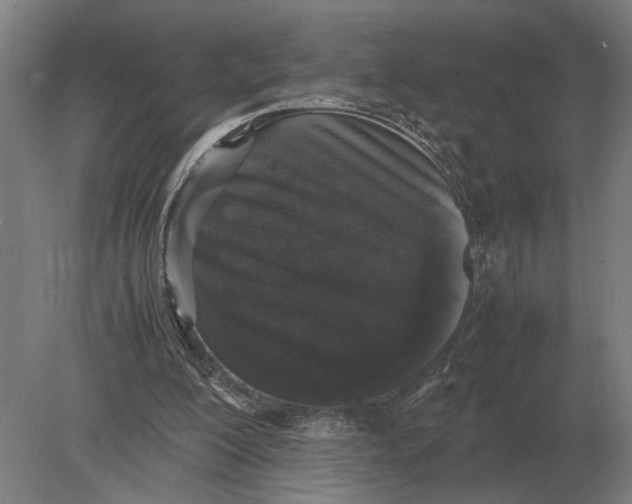 X0000078840200200612041848