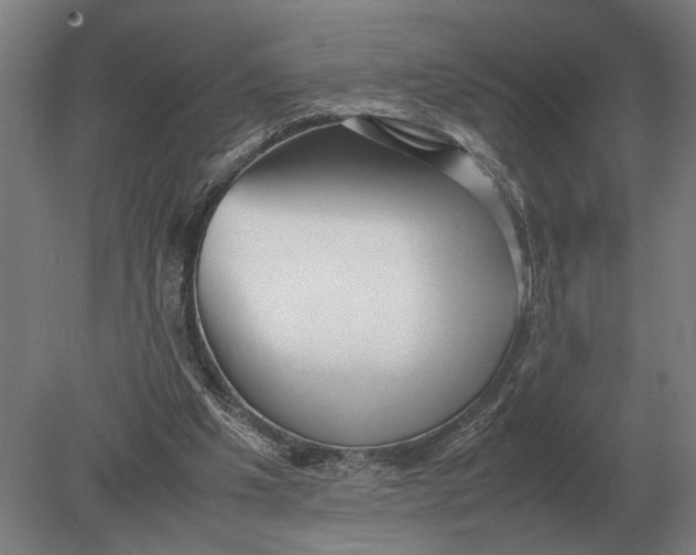 X0000078840201200612041848