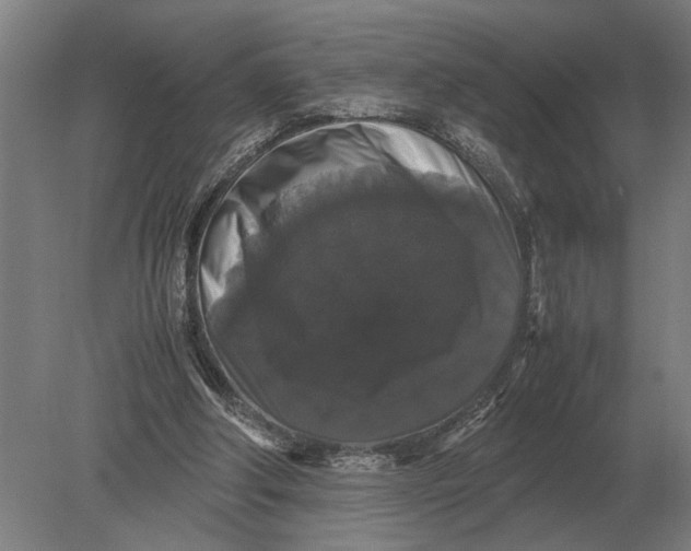 X0000078840202200612041848