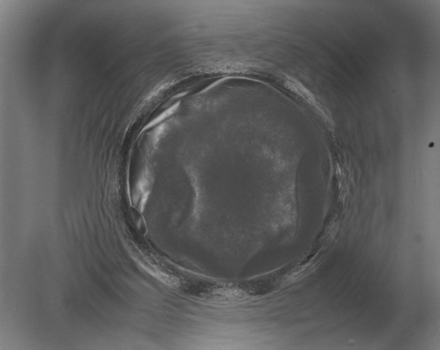 X0000078840203200612041848