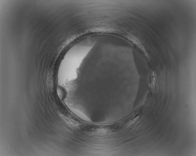 X0000078840204200612041848