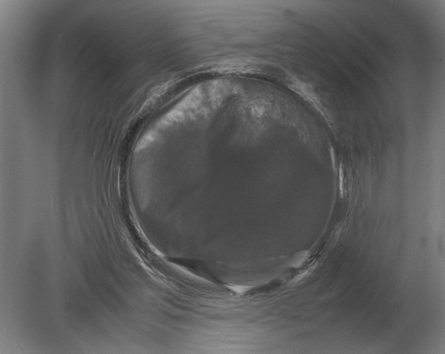 X0000078840205200612041848