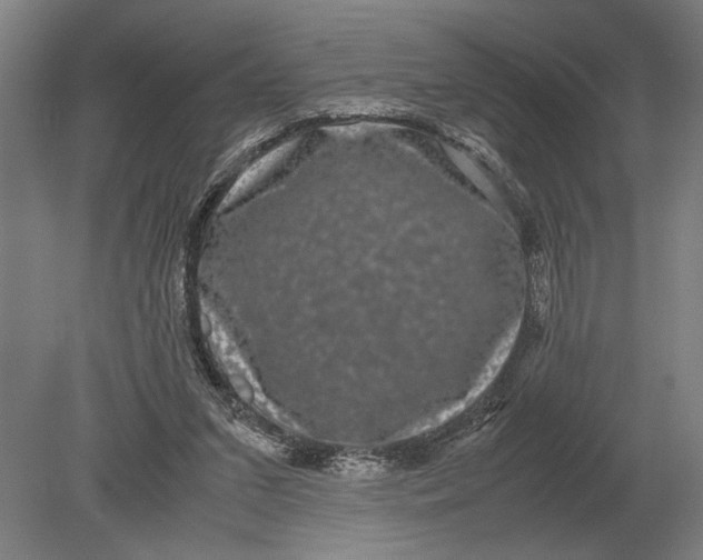 X0000078840207200612041848