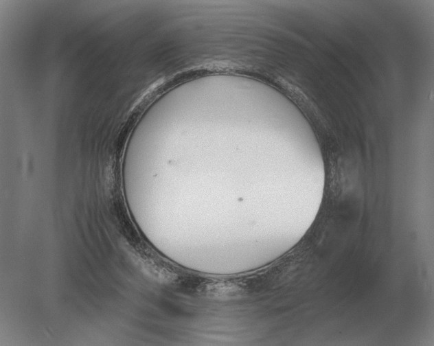 X0000078840208200612041848