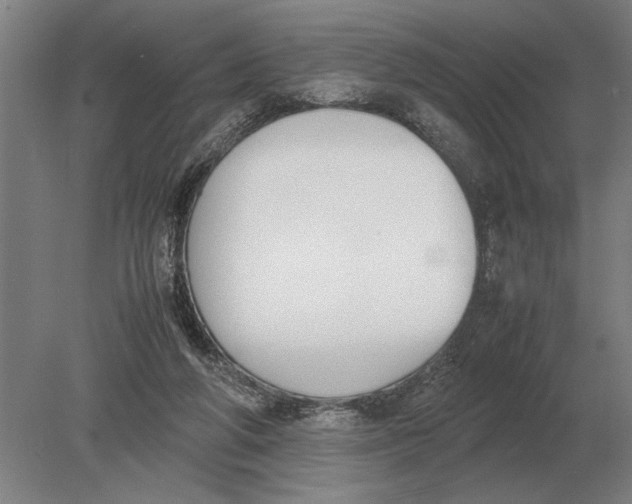 X0000078840210200612041848