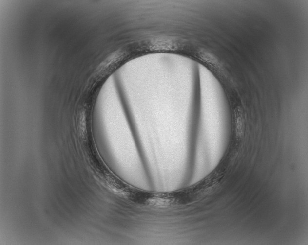 X0000078840211200612041848