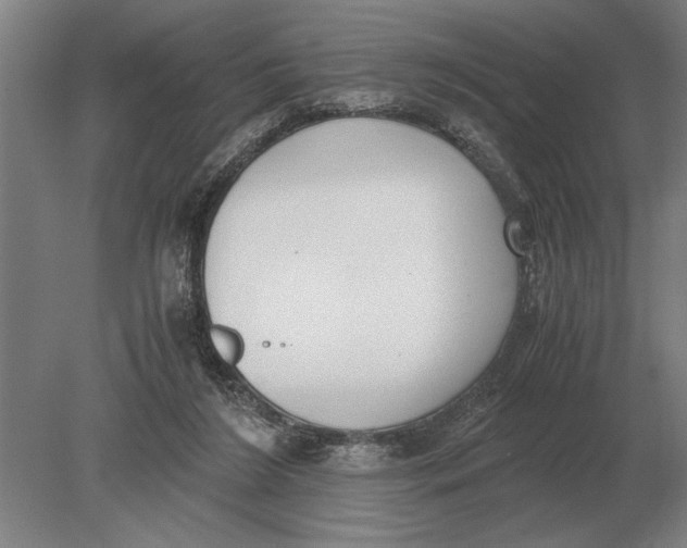 X0000078840212200612041848