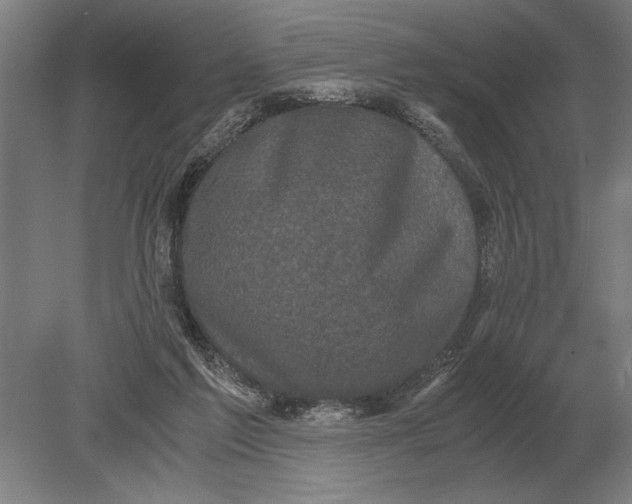 X0000078840213200612041848