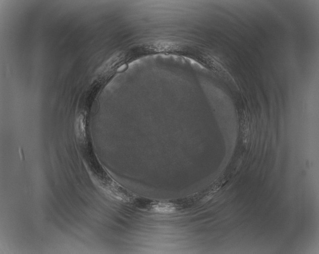 X0000078840214200612041848